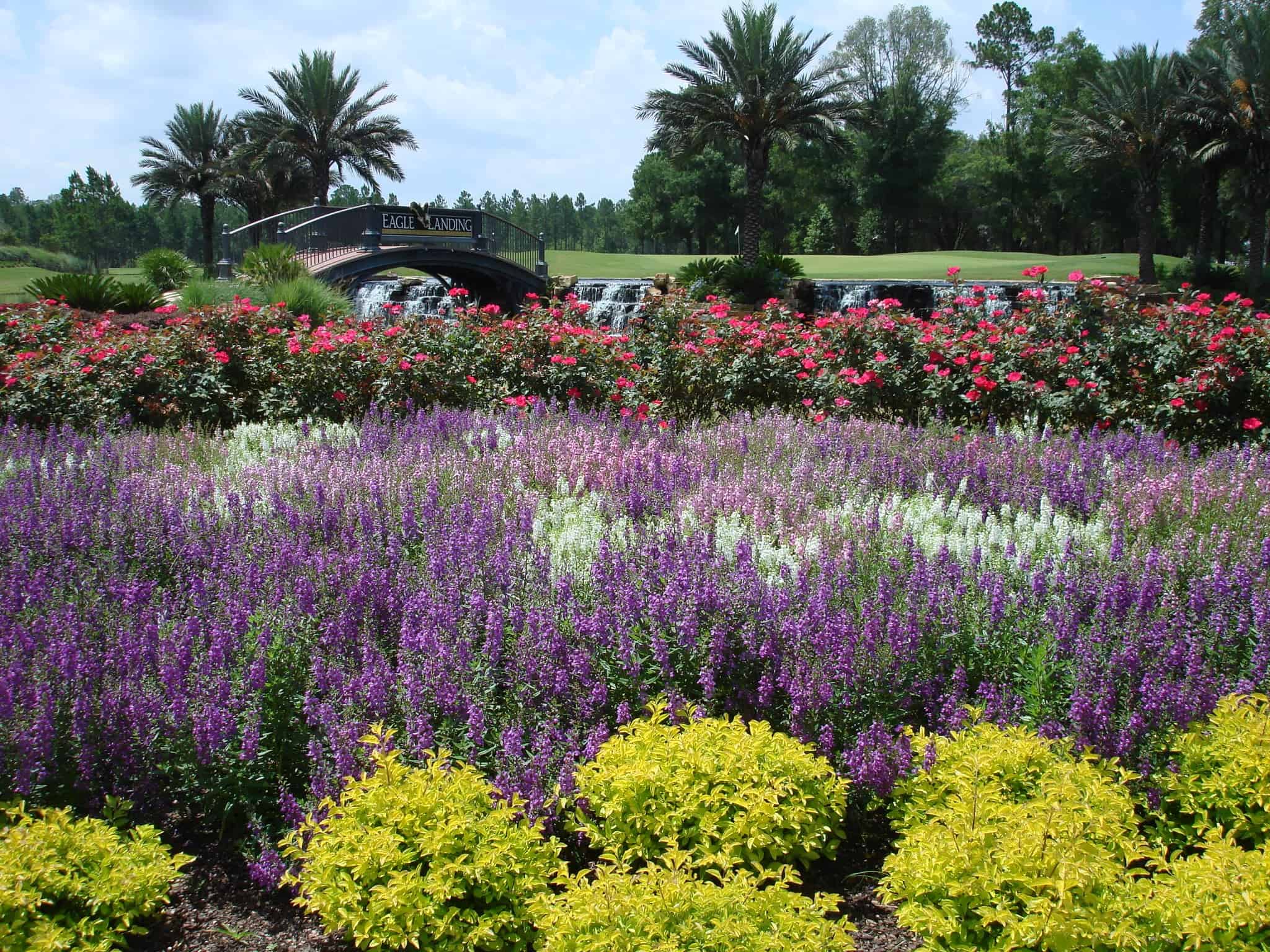 Native Planting Plan